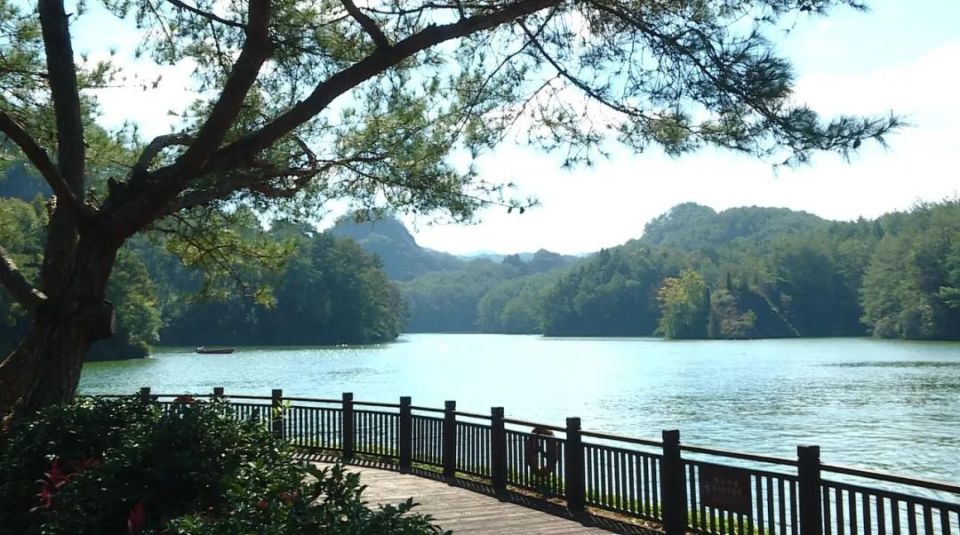 连城县冠豸山风景区管委会景区管理科副科长李永鸿说:"石门湖景区自