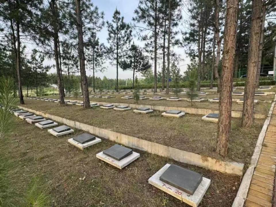 湖北随州殡改争议