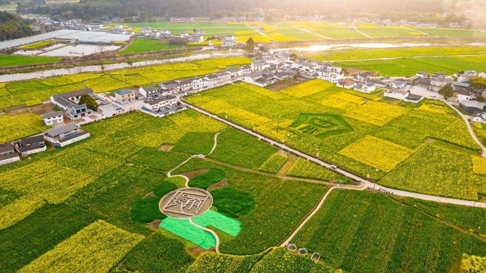 走,看花去!德阳罗江发布四季乡村游路线_腾讯新闻