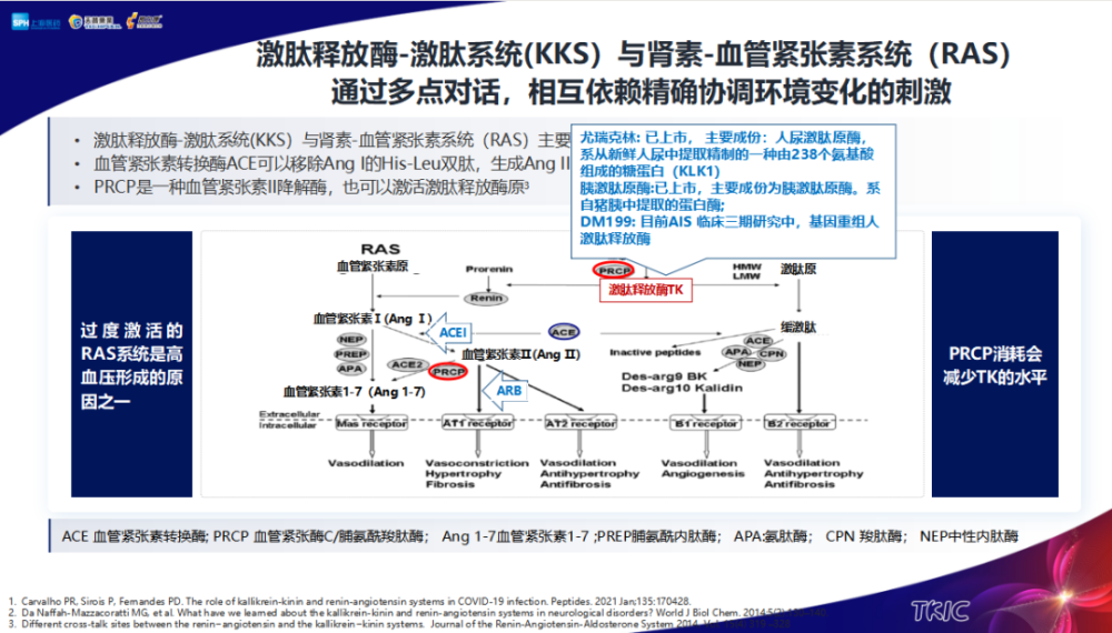 继往开来谱新篇tk治疗价值再探索中国脑血管病防治指南及新进展巡讲tk