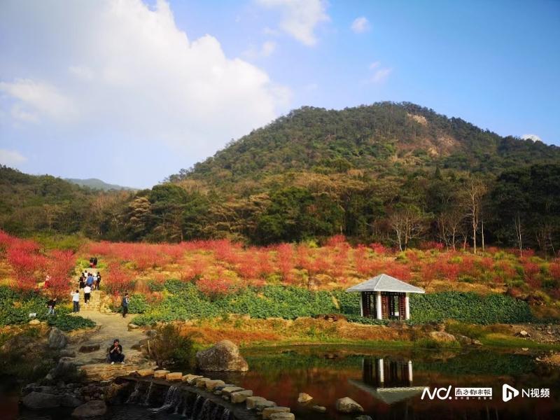 鄉村遊:徜徉天然山水之間元旦假期,到廣州鄉村遊山玩水,親近自然,泡