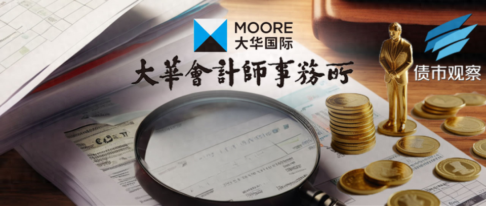 换个马甲继续干?13家大华所a股客户改聘大华国际!_腾讯新闻