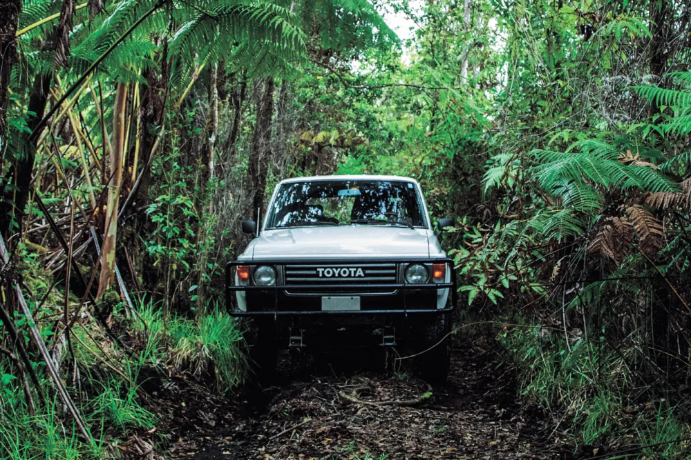 普拉多的昨天,今天,明天_腾讯新闻