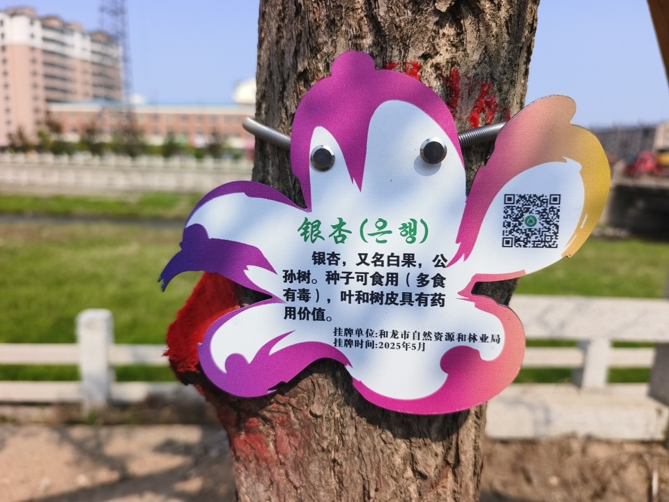 全体人员分工协作,穿梭在绿荫之间,将设计精美,内容详实的树名牌逐一