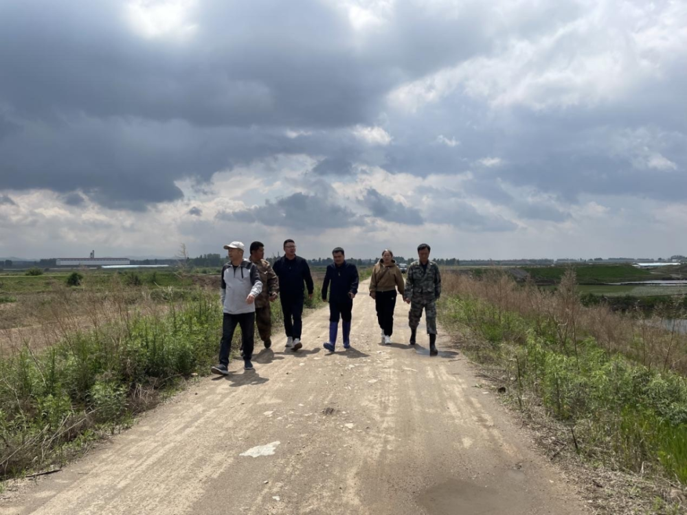 【保安全 促发展】延寿县丨延寿镇:闻"汛"而动  筑牢防汛"安全坝"