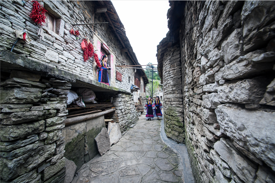 乡游黔中 | 镇宁县弄染村:六月限定,酸甜的味道"李"知道