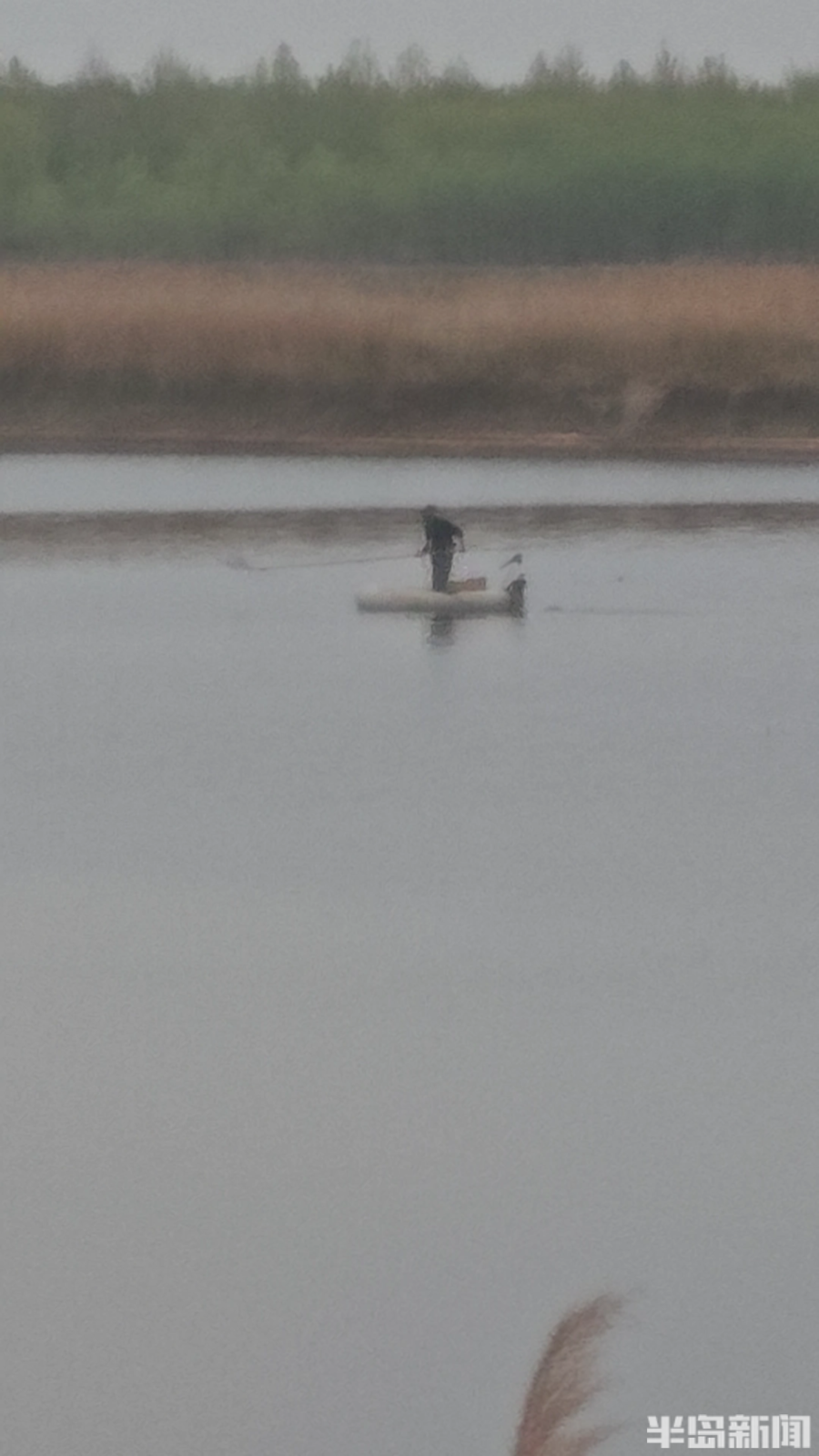 真·探142案丨大沽河又现"偷鱼",非法捕捞"打游击"