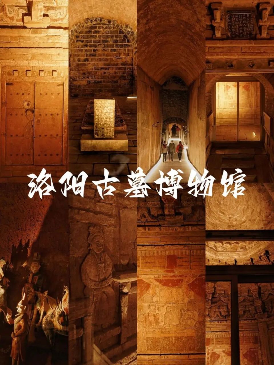 河南新增5家国家一级博物馆!