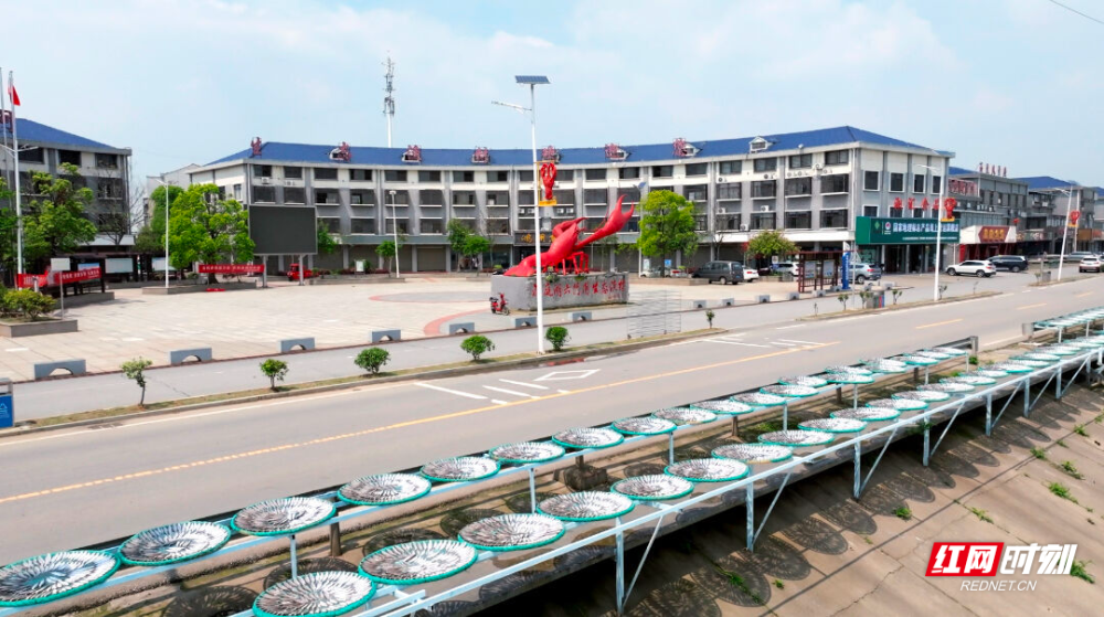 底色·岳阳 | 丹青画出是君山——岳阳市君山区"守护好一江碧水"六