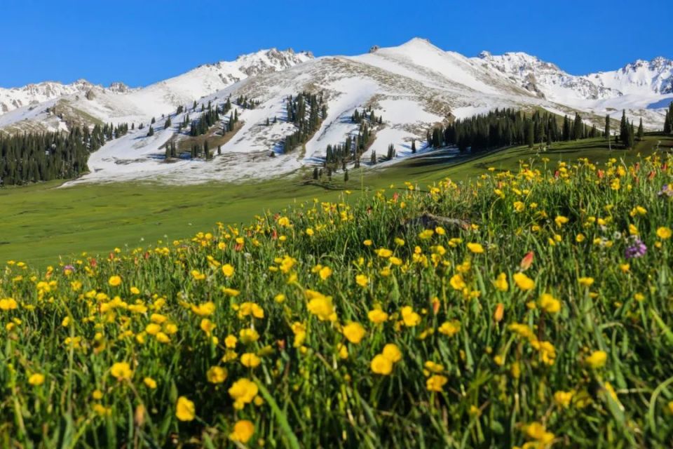 新疆与俄罗斯蒙古交界有个州,面积比两个韩国还大,风景不输瑞士
