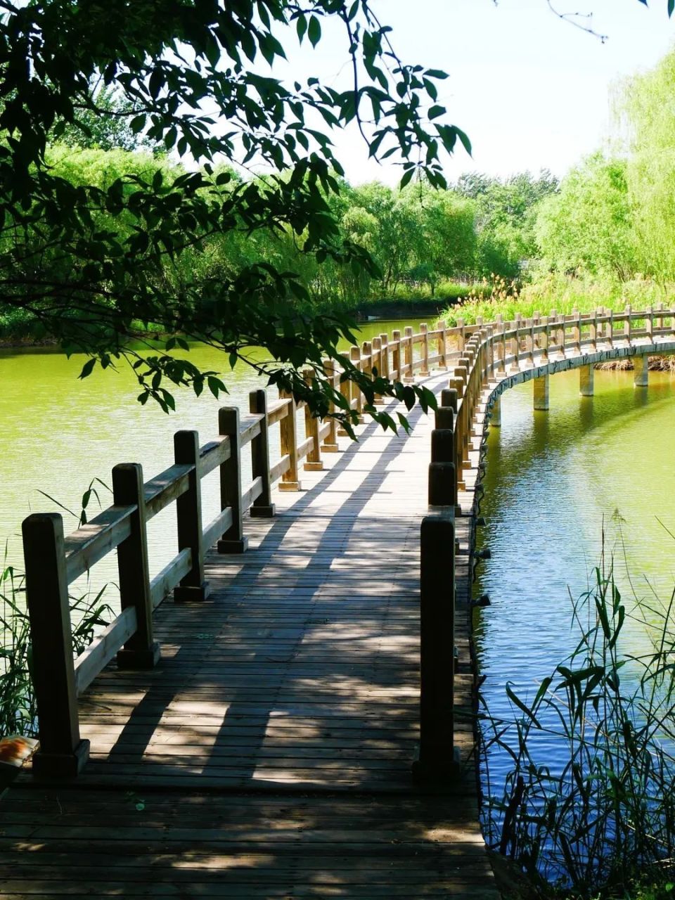 快来这5处湿地公园拥抱夏天|city