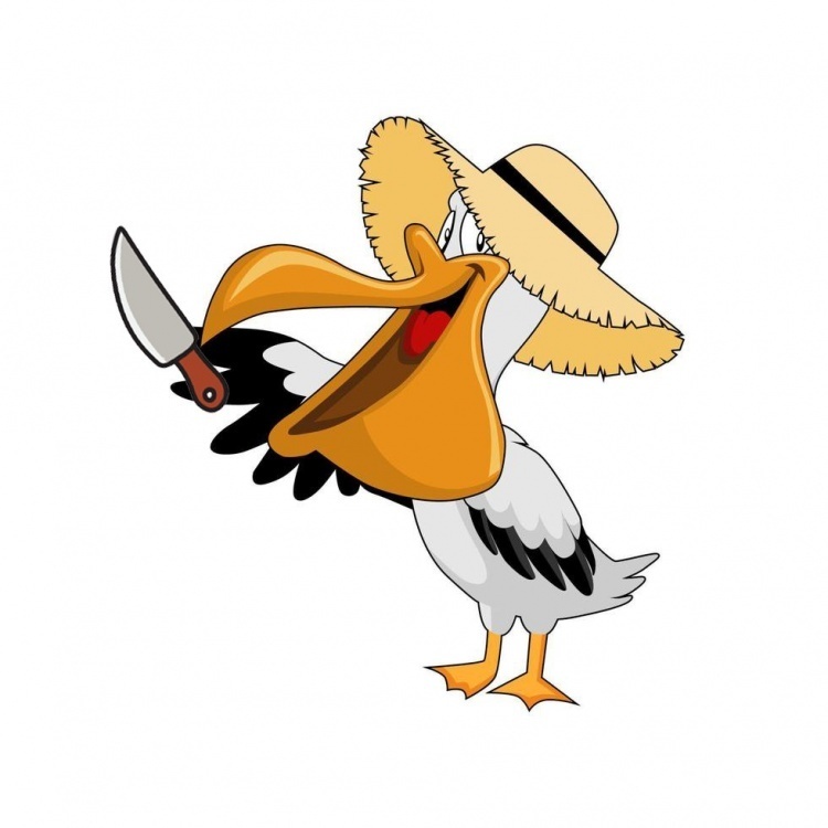 皮一下鹈鹕官推恶搞西部对手:湖人,太阳,勇士莫名喜感