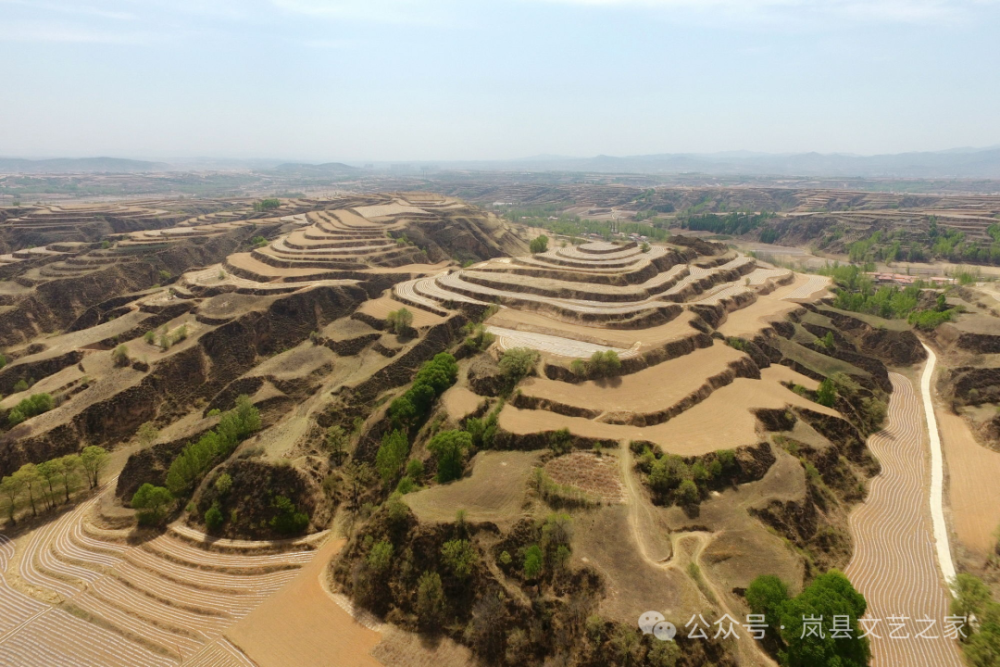 黄土塬梁峁图片