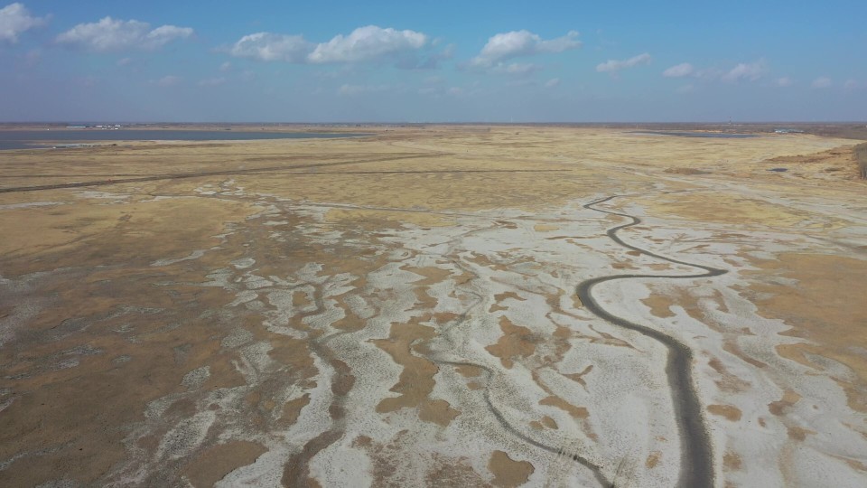 黄淮海平原盐碱地图片