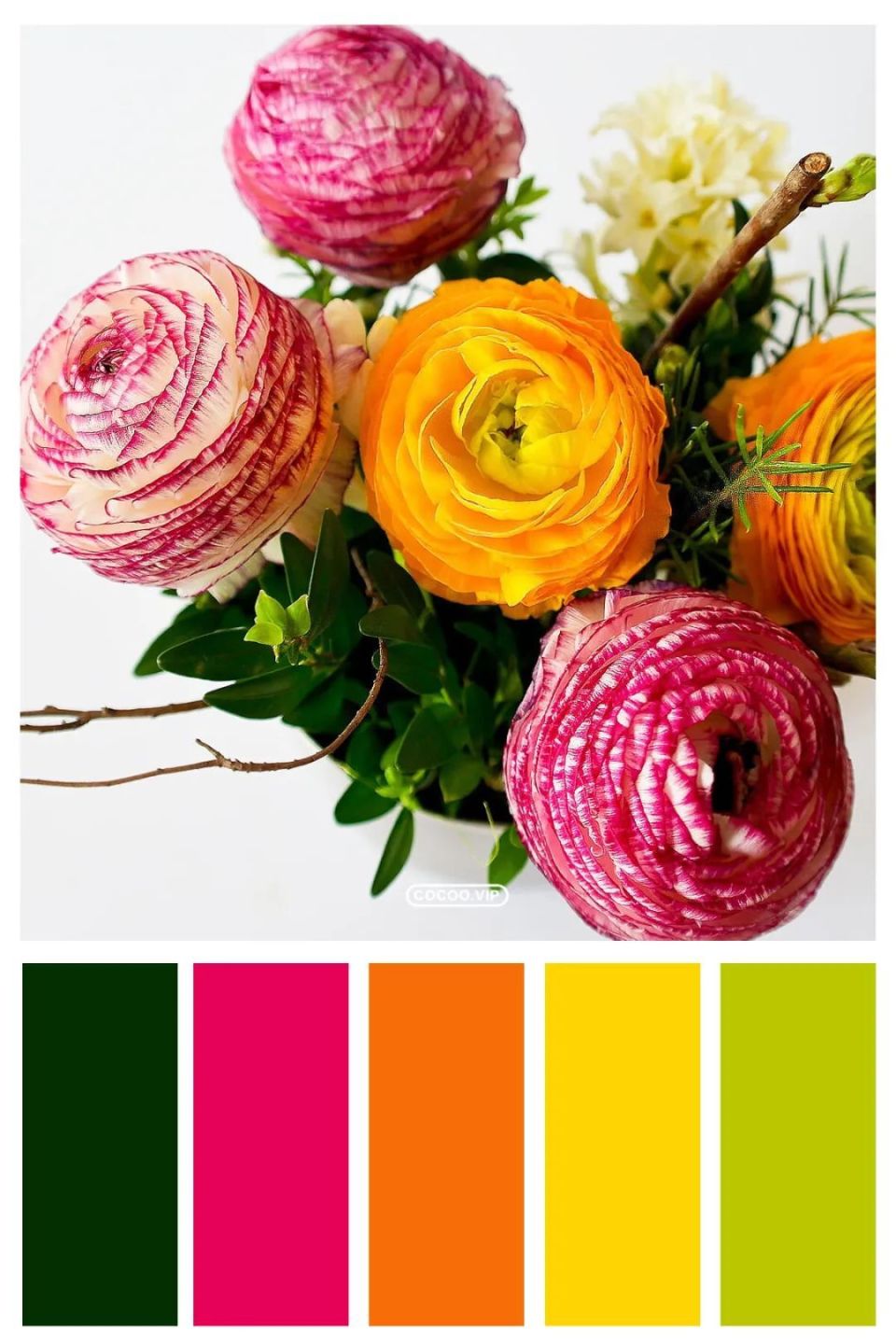 一组色彩搭配方案