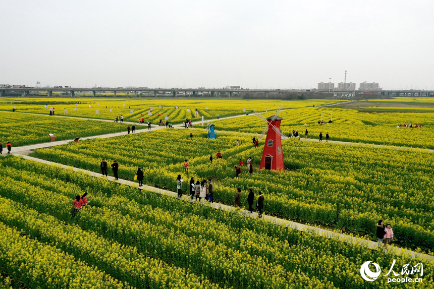 江西南昌踏春郊游赏花热