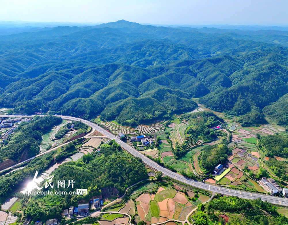 江西瑞金:路在景中延 车在绿中行