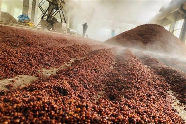 超市5款便宜酒,全是粮食酿造价格还亲民,你喝过几款?