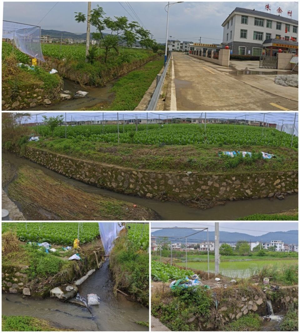 【曝光台】连城县农村人居环境整治(10)