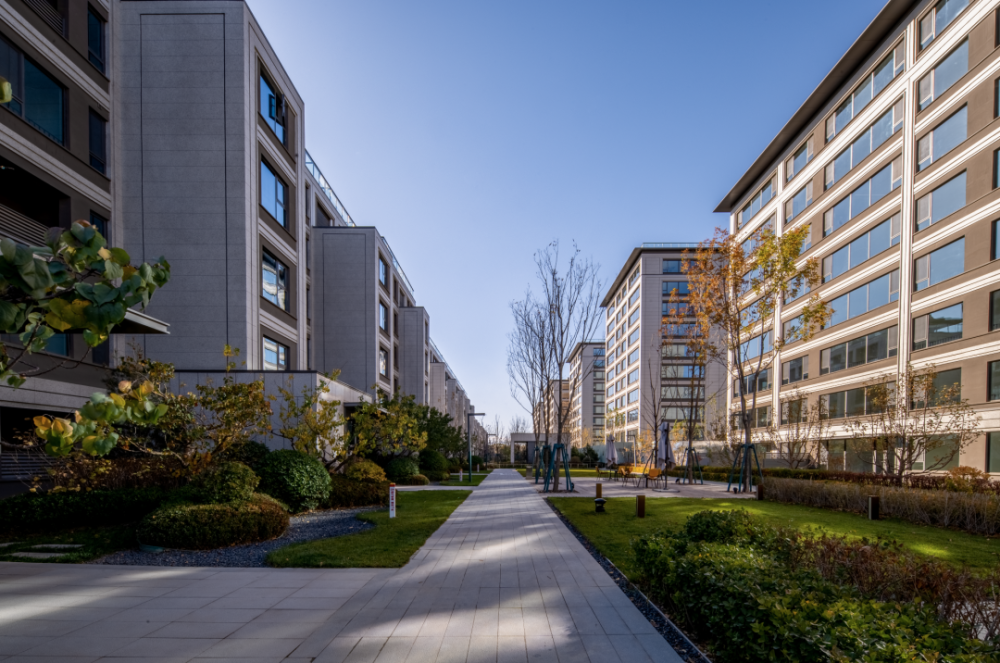 2023年11月19日,继桃李春风之后,桃李健康发展集团第二个高端墅区作品