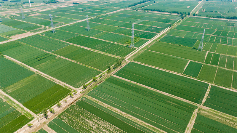 农发行滨州市分行:海韵河秀孕育品质滨州 蝶变图强谱写支农新篇
