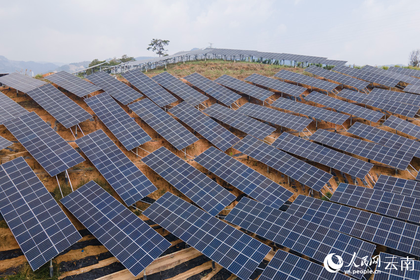 光伏板下"药"味浓_腾讯新闻