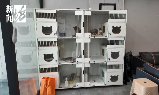 90后男生春节在上海狂赚16万元，每天睡3小时……这种新职业爆火