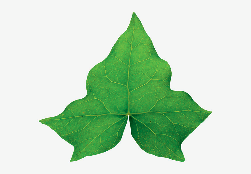 符了,几千年前就不好好说话_腾讯新闻