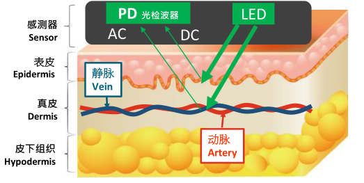 心电图机怎么维护别等“系统报错”才想起维护：一份写给当代打工人的心脏运维指南_https://www.jmylbn.com_新闻资讯_第13张