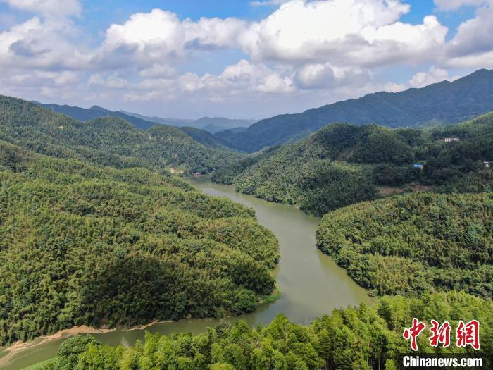 航拍江西萍乡万龙山秀美风光林海茫茫田园稻渐黄