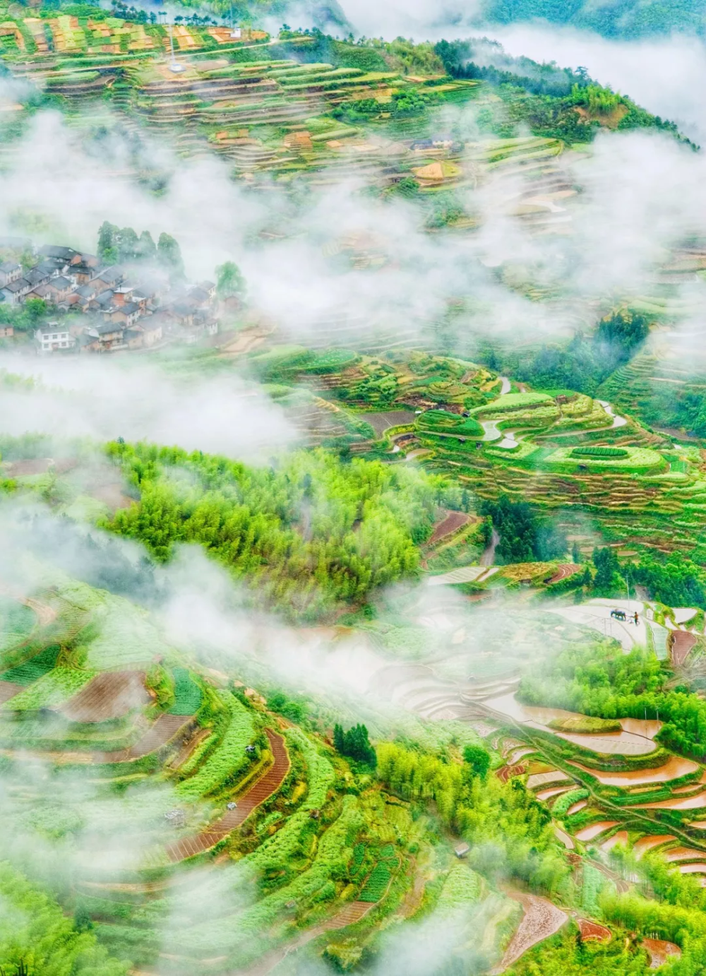 后悔知道晚了,原来这里的梯田那么美