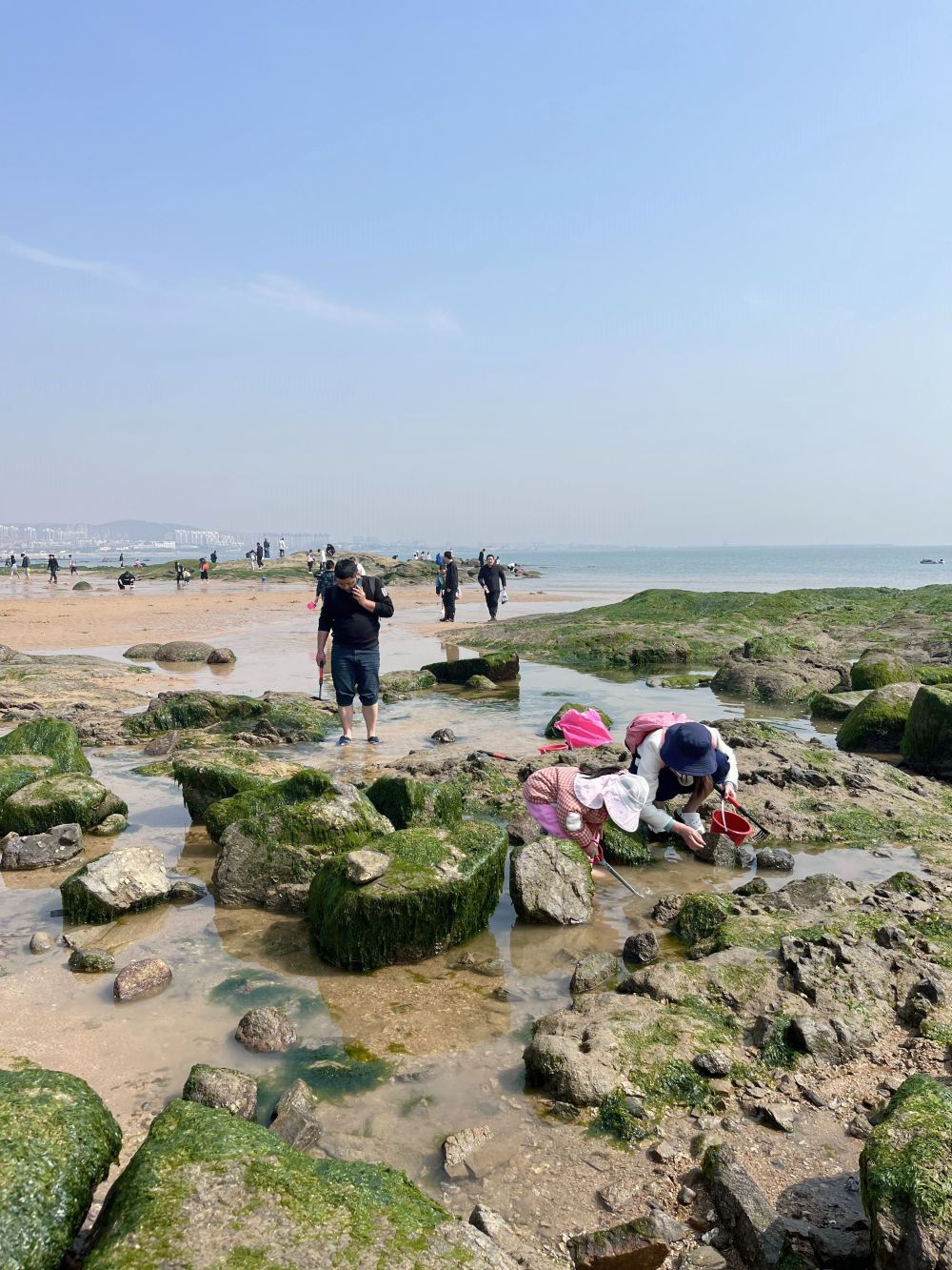67土著专门出一期,日照赶海问题解答