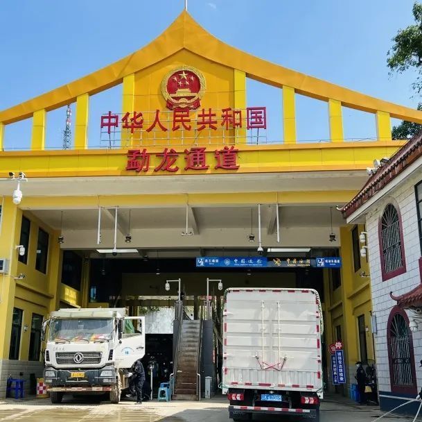 勐龙通道正式恢复人员进出境功能