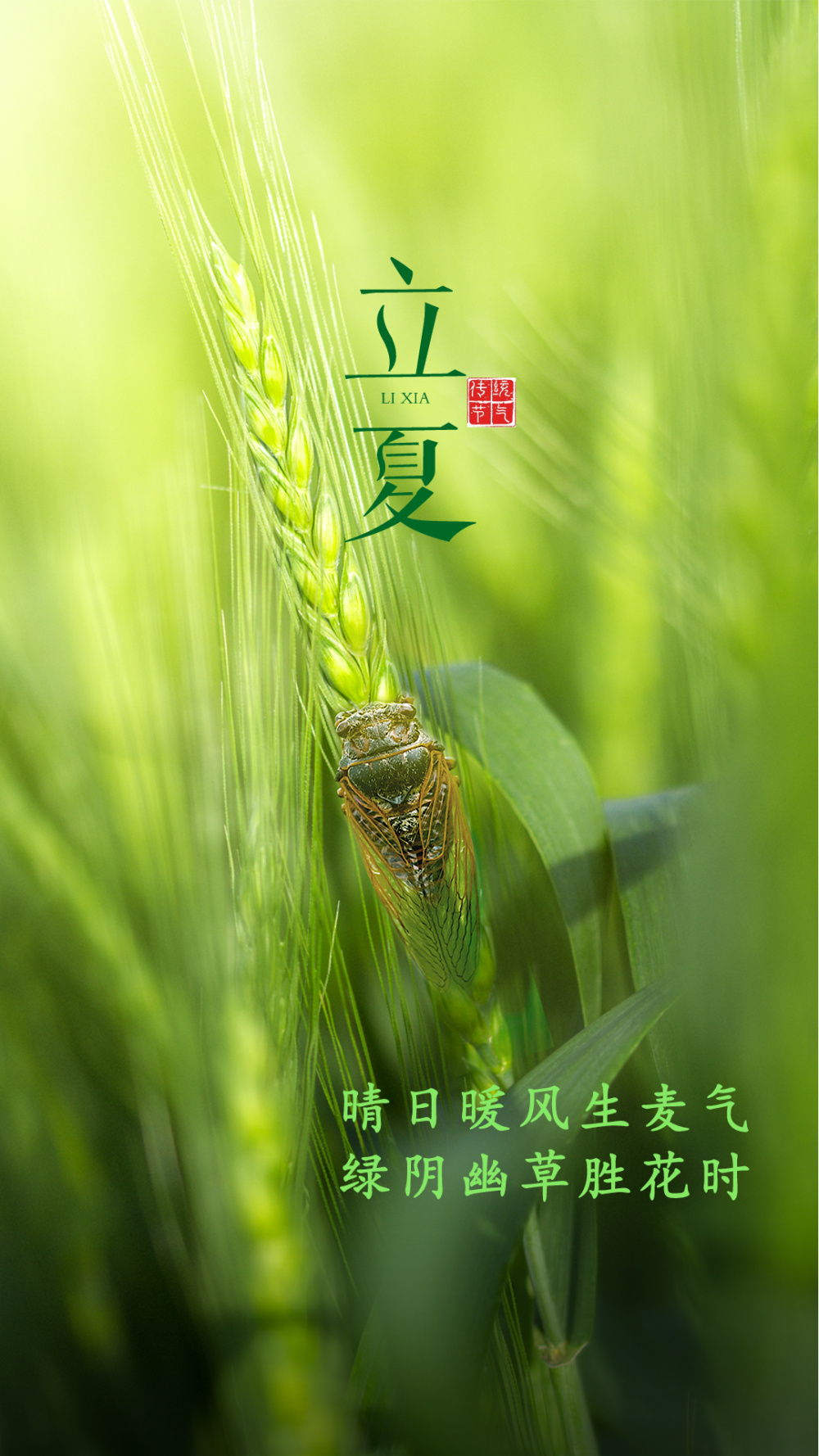 适合"立夏"发朋友圈的绝美文图,一眼就爱了