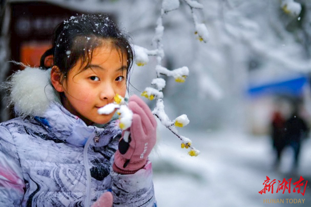 佳作欣赏雪中趣事