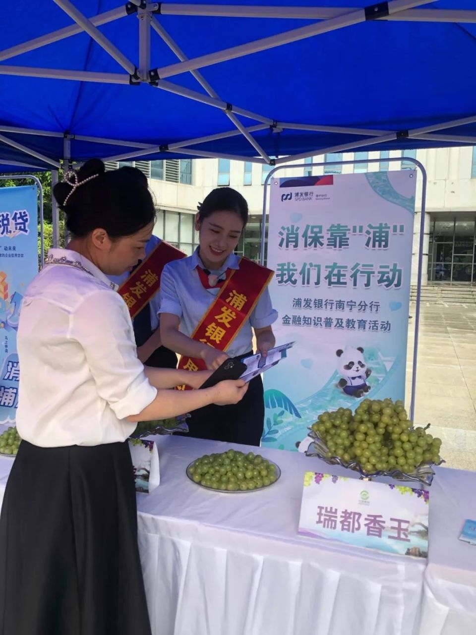 用“果盘子”撑起“钱袋子”！金融助力农业，浦发银行普惠金融暖民心-腾讯新闻