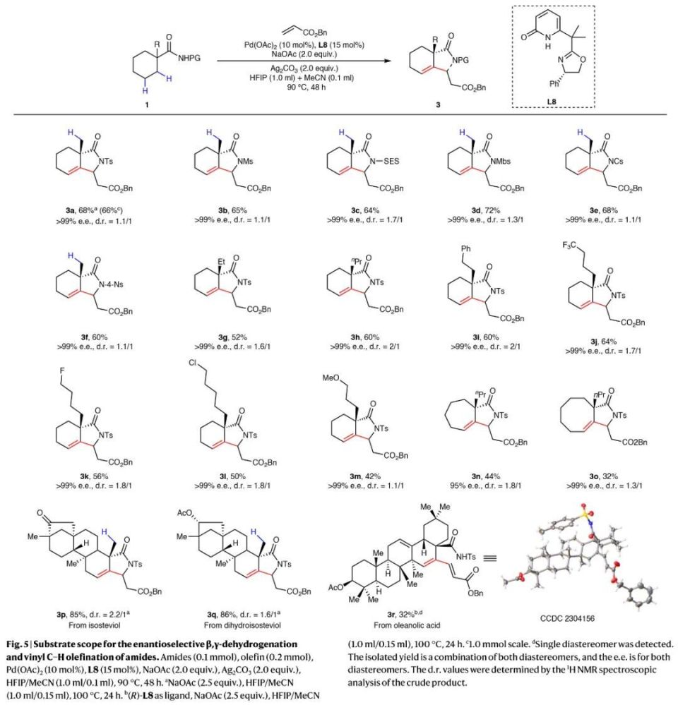 以良好的产率得到相应的β-烷基烯-γ-内酰胺产物