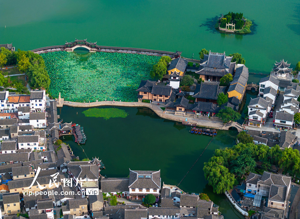 2024年7月18日,江苏省昆山市锦溪古镇景区内风景如画,成为夏日里一道