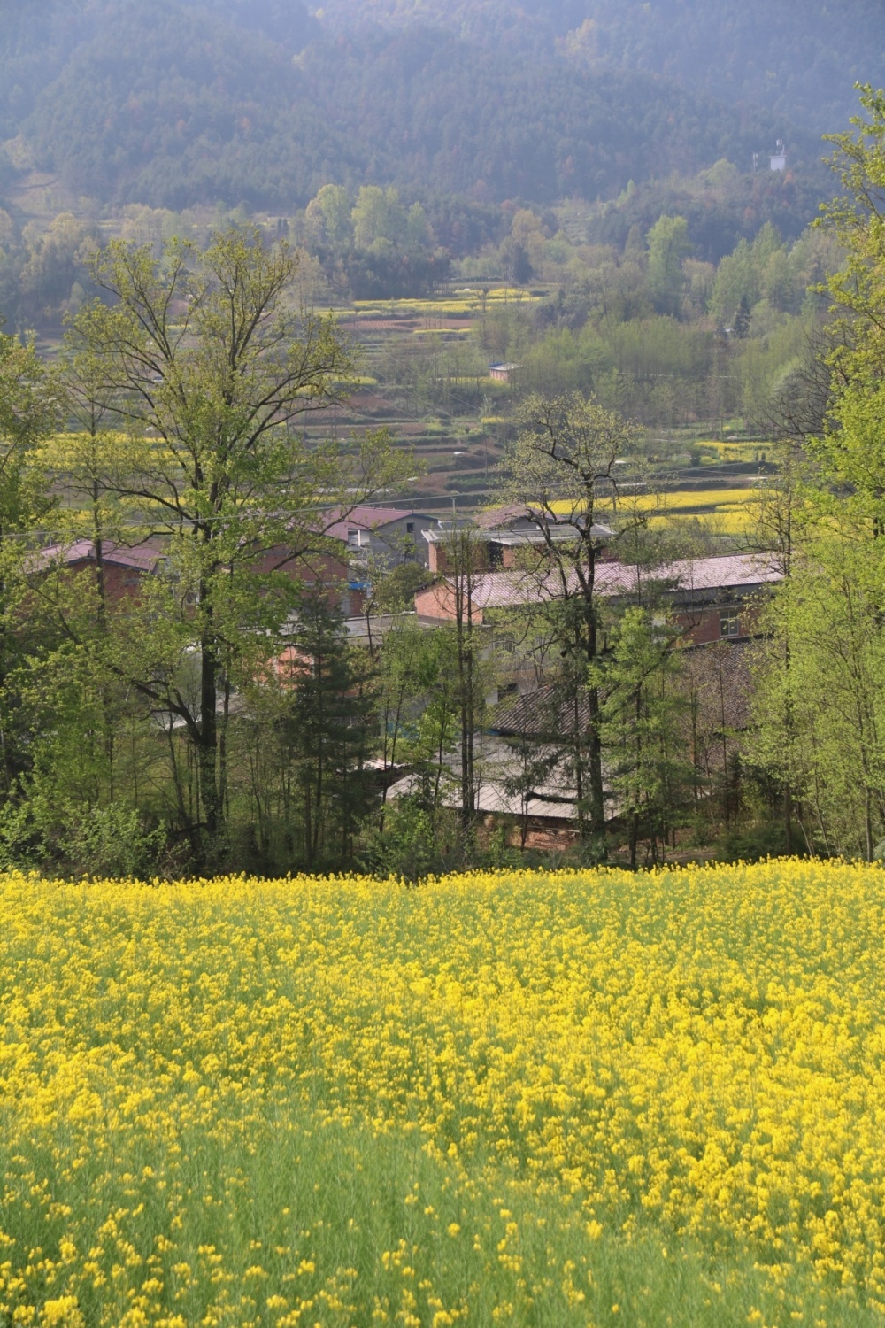 藏在川陕交界处,西安出发一天打来回_腾讯新闻