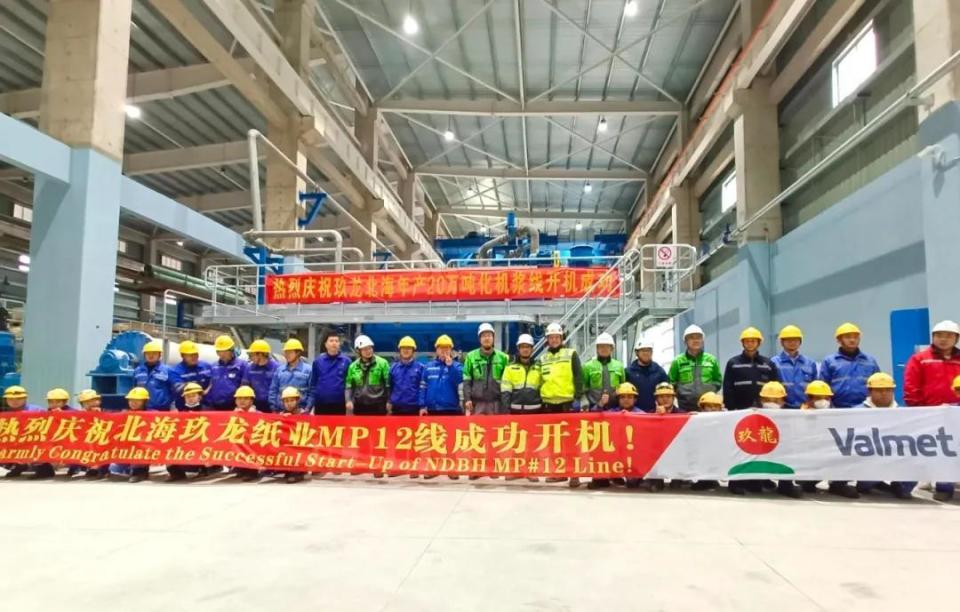 玖龙纸业(02689.HK)浆纸一体化进展与成本优势分析