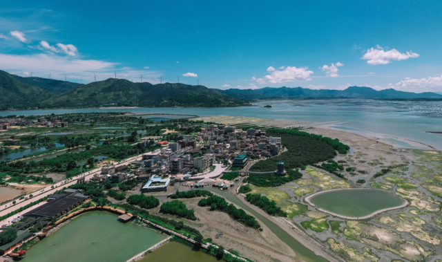 很难想象到,在20世纪七八十年代,此处却是另一番光景:由于围海造田