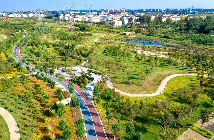 建好沿黄生态廊道 打造绿色生态家园