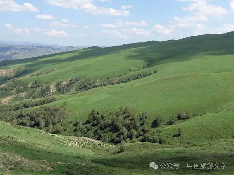 行走丨高原草甸春坤山