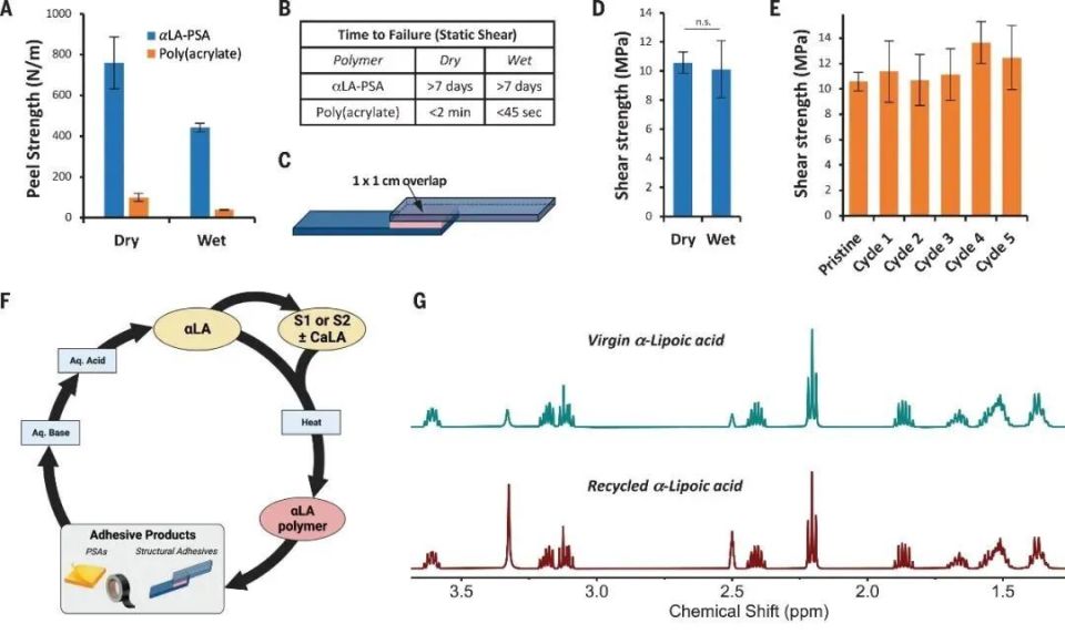 医用粘合剂叫什么名字医用高分子粘合剂登上《Science》_https://www.jmylbn.com_新闻资讯_第5张