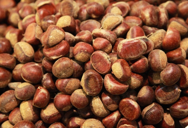 晚潮|风干毛栗_腾讯新闻