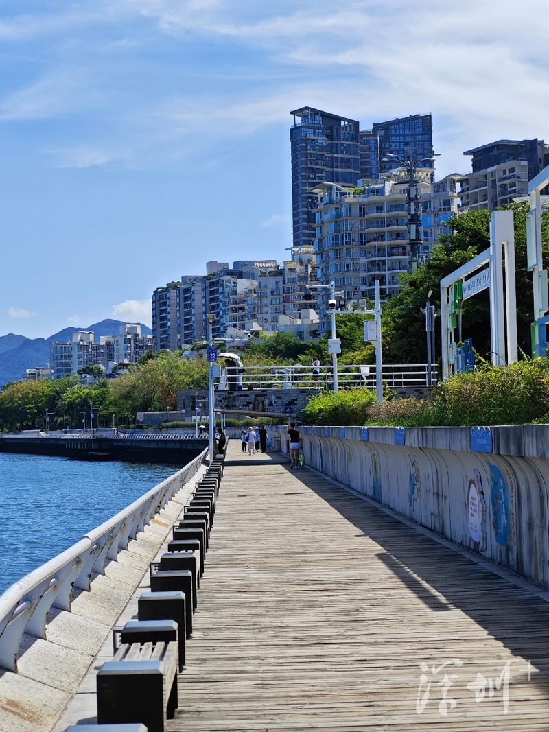 深圳enjoy | 城市漫游指南·沙头角
