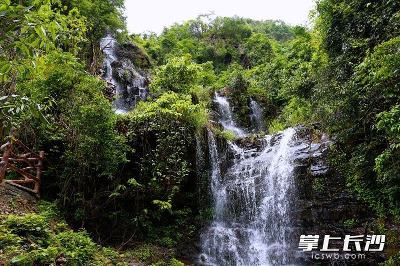 浏阳市蕉溪镇蕉溪村: 5公里游步道,从"后花园"进城