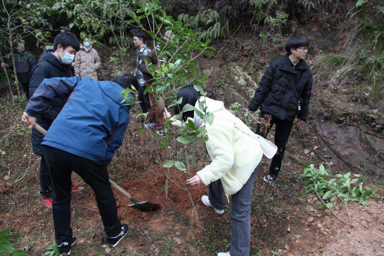 宣扬绿色低碳环保工商银行自贡分行团委开展数字人民币金融主题植树