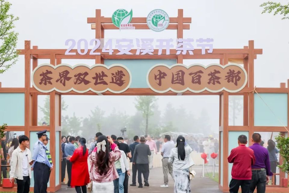 【遇见春茶】今天,安溪开茶喽!