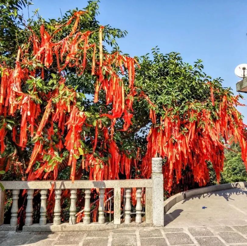 "五一"假期去哪儿丨九龙峰